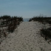Seabrook Island Deserted Beach Area