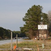 Wilderness Grille