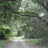 Kiawah River Plantation - Service Road