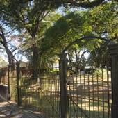 Beth Elohim Cemetery
