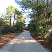 Dewees Island - Roads