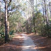 Dewees Island - Overview
