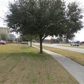 Lockwood Blvd. - North of Spring Street
