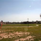 Drew Park