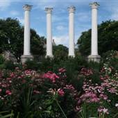 Cannon Park
