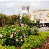 Myrtle Beach Market Common