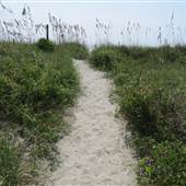 Folly Beach - Path Next to Lighthouse Beach - September