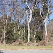 North Charleston - Oak Terrace Preserve