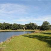 The Blessing Plantation - October Looks - The Lake