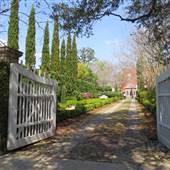 Gardens of Charleston - Montagu Street House -  April Looks (2014)