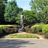 Rock Hill - Cherry Park