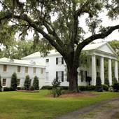 Millbrook Plantation