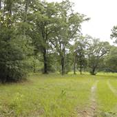 Hobcaw Barony - Trailhead