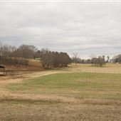 Caroland Farms - Fields and Pastures