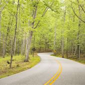 Kings Mountain State Park