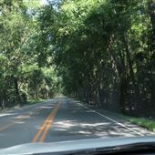 Highway 61 -- Near Millbrook Plantation - Summer 2018