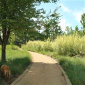 Moore Farms Botanical Gardens  -- Swimming Pond