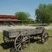 Willis Produce Shed & General Store
