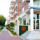 The Greene