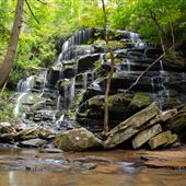 Yellow Branch Falls