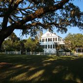 Windsor Plantation - Overview