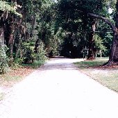 Johns Island Roads