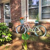 James Island Home (*for production / crew rental)