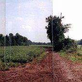 Hwy. 378 - Pecan Road