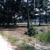 Dirt Road (on Moore Property)