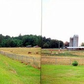 Coleman Farm