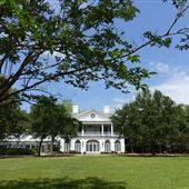 Lowndes Grove Plantation