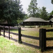 Aiken Polo Club