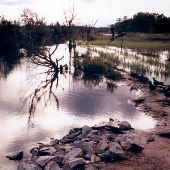 Pond off SC RD 235