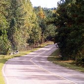 Hwy. 601 (Between Camden & Hwy.378)