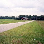 S.C. Rd 319