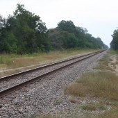 Yemassee Railroad Tracks