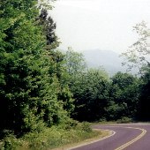 Sumter National Forrest