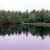 Ripley Retreat