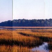 Marshes Behind Howard Johnson
