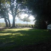 Alhambra Park - January Look