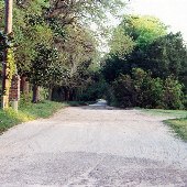 Mink Point