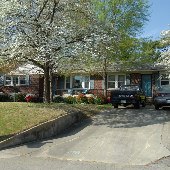 Forest Acres Avenues