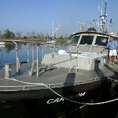 Senior Harbour Pilot