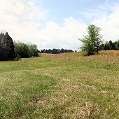Mathews Farm - Fields