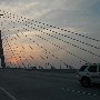 Arthur Ravenel Jr. Bridge