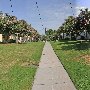 Chestnut and Evergreen Street Apartments