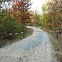 Harbison State Forest