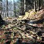 Caesars Head State Park - Wildcat Branch Falls