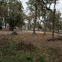 West Bank Landing