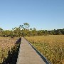 Hunting Island State Park - Marsh Walk
